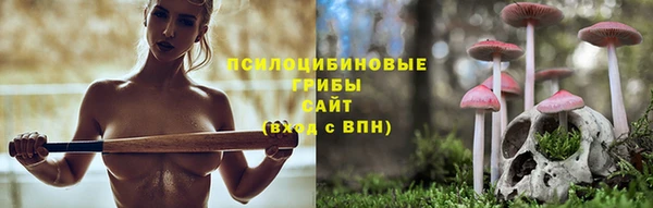 apvp Алексеевка