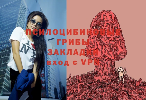 эйфоретик Алексин