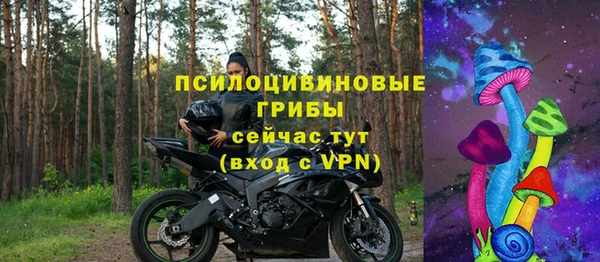 шишки Абдулино