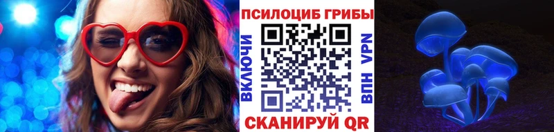 МЕГА ТОР продажа наркотиков Подольск Псилоцибиновые грибы прущие грибы