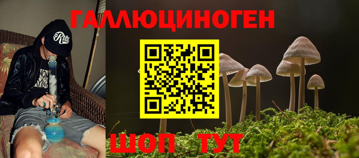Галлюциногенные грибы Psilocybe Подольск